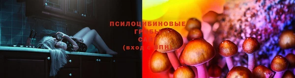 кокаин премиум Магас