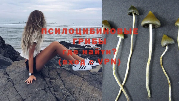 кокаин премиум Магас