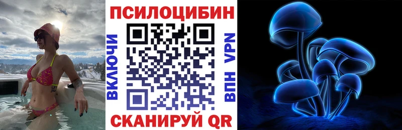 Псилоцибиновые грибы прущие грибы  дарнет шоп  Королёв 